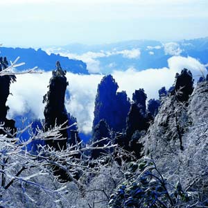 LD線：張家界、天子山、楊家界、猛洞河漂流純玩四日游